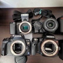 Nikon OLYMPUS SONY カメラ デジタルカメラ E-620 NEX-5 α5000 α55 D80 D5000 P5000 _画像3