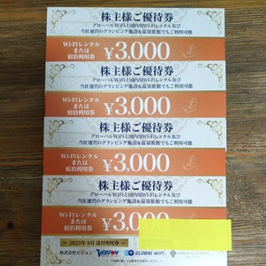 株式会社ビジョン　株主優待　１２０００円分