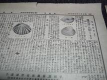 新聞/明治38年/早稲田大学/広告/資料/慶応大学/貝/冠鳩/電球/当時物検索)障子紙/薬/戦争(33)_画像2