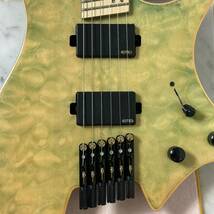 美品 strandberg タイプ ヘッドレス エレキギター 詳細不明_画像6