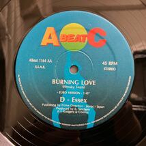 D-Essex / Burning Love 【12inch】_画像4