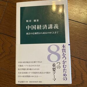 中国経済講義　統計の信頼性から成長のゆくえまで （中公新書　２５０６） 梶谷懐／著