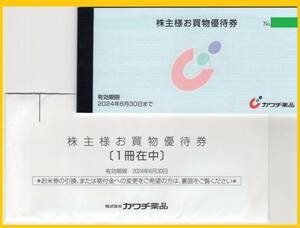 【送料無料・即決・18時までなら即日発送】 カワチ薬品 株主優待 5000円分　★株主様お買い物優待券　★有効期限：2024年6月30日まで