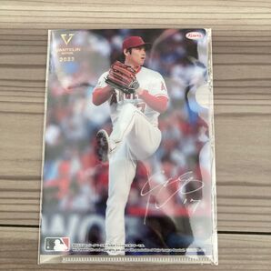 大谷サイン入り バンテリン