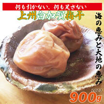 海の恵みと大地の恵み、天日塩使用の地下室手作り無添加完熟白加賀梅干し900g　23a1209_画像4