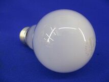 ホワイトランプ 電球E26(11個入)(汚れ有) LW100V36W_画像5