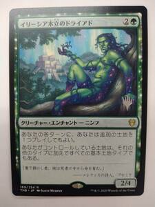 値下げ MTG THB JP 169/254 R イリーシア木立のドライアド レア 箔押しロゴ入り 特価即決 MAGIC the Gathering