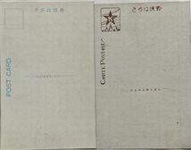 絵葉書 国立公園　日光の麗観　日光山輪王寺-袋(スタンプ捺印)・18枚組_画像6