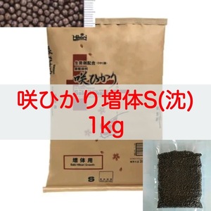 [ free shipping ] Kyorin .... increase body S size (. under ) 1kg colored carp * goldfish * river fish 