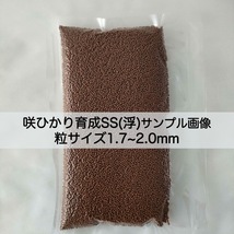 【送料無料】キョーリン 咲ひかり 育成 SSサイズ(浮) 200g (200g×1) 錦鯉・金魚・川魚_画像2