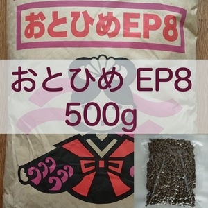 【送料無料】おとひめEP8 沈下性 500g 真空パック エイ 錦鯉 ポリプテルス エンドリ ダトニオ キャット なまず