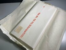 書道■ 1989年　紅星牌 四尺棉料重単宣　100枚　古紙　■b121_画像1