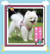 ペット 犬 服 ドッグ メッシュ ハーネス リード蛍光タイプ ピンク Ｍサイズ_画像2
