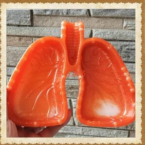 ◆【オレンジ×青】灰皿 肺 小物入れ 不透明 ラメ シンプル デザイン