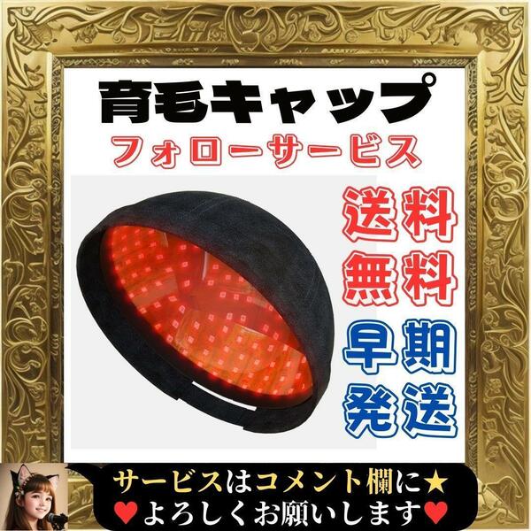 ☆未使用品☆ 育毛キャップ 育毛システム 赤色 青色 LED 光線 頭皮ケア