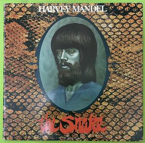 Rock raregroove break beats record ロック　ブレイクビーツ　レアグルーブ　レコード　HARVEY MANDEL THE SNAKE 1972