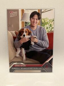 【topps now】大谷翔平 MVP 期間限定　販売カード【犬】