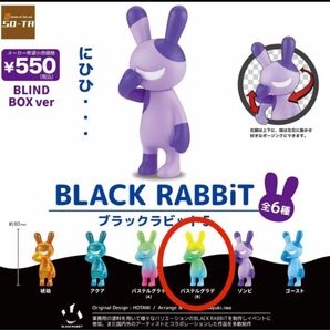 BLACK RABBiT ブラックラビット5 BLIND BOX ver 立ちポーズ パステルグラデB /SO-TA/ボックス版