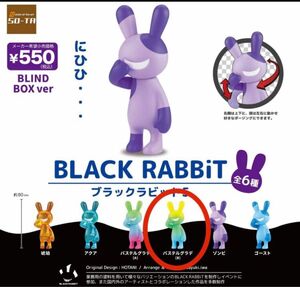 BLACK RABBiT ブラックラビット5 BLIND BOX ver 立ちポーズ パステルグラデB /SO-TA/ボックス版