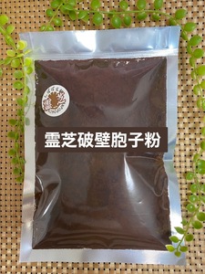 破壁霊芝胞子粉 50g 霊芝100% 無添加 無防腐剤 霊芝破壁胞子 原材料そのまま 長白山産 レイシ 霊芝 れいし マンネンタケ