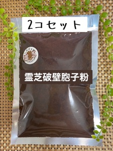 霊芝胞子粉 100g(50g×2)破壁霊芝胞子粉 霊芝100% 無添加 無防腐剤 霊芝破壁胞子