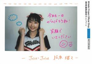 Juice=Juice【段原瑠々】 インスタント素材L判生写真　『東京秋葉原店限定キャンペーン 特典』