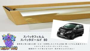 エルグランド　TE52　フロントドアガラス・小窓用カットフィルム　スパッタゴールド80　ブレインテック製 佐賀県