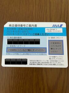 ANA株主優待券　株主優待　番号通知のみ　割引券　ANA 2024.5.31迄