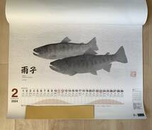 (S8)　 カレンダー【2024シマノ カレンダー 魚拓】_画像2