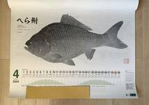 (T8)　カレンダー【2024 がまかつカレンダー/シマノカレンダー魚拓】２個セット_画像7