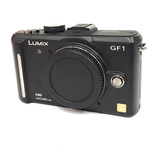 Panasonic LUMIX DMC-GF1 ミラーレス一眼カメラ ボディ 動作確認済み