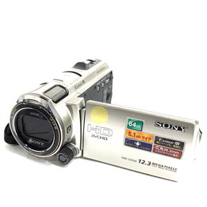 SONY HANDYCAM HDR-CX560V デジタルビデオカメラ ハンディカム QG011-18