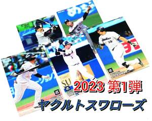 2023　第1弾　ヤクルトスワローズ　レギュラーカード　全5種セット　★　カルビープロ野球チップス　山田　長岡　オスナ　山崎　高橋