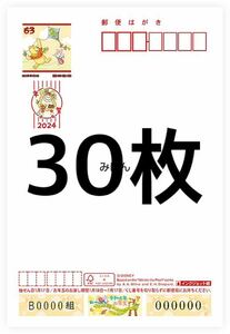 年賀状　ディズニー　裏無地　30枚　インクジェット 2024 郵便局