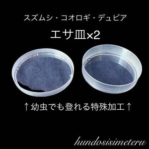 スズムシ・コオロギ・デュビア のエサ皿×2 エサ入れ　餌皿 鈴虫　イエコ　フタホシ　ワラジムシ　ダンゴムシにも♪