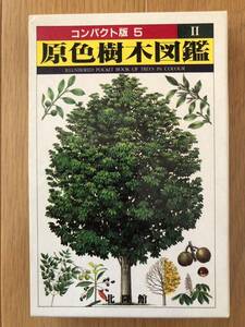 コンパクト版 5 原色樹木図鑑 Ⅱ 北隆館 図鑑 図解 植物 樹木