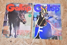 ⑥　1996年　週刊Gallop ギャロップ　馬　本　雑誌　武宏平　ジャパンカップ　エリザベス女王杯　安田記念　有馬記念　など　10冊_画像5