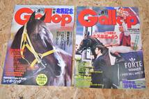 ＠15　週刊Gallop ギャロップ　93年　94年　95年　馬　本　雑誌　トウカイテイオー　小林薫　対談　オグリローマン　天皇賞　など　10冊_画像4