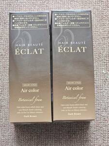 ヘアボーテ　ECLAT エクラ ボタニカル エアカラー　フォーム ダークブラウン 未開封　2個セット