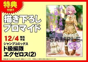 ド級編隊エグゼロス 2巻 ゲーマーズ特典 ブロマイド 白雪 舞姫　(漫画 a79 きただりょうま