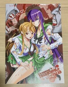 学園黙示録 HIGHSCHOOL OF THE DEAD ハイスクールオブザデッド ドラゴンエイジ2007年11月 特典 冊子 毒島冴子 宮本麗