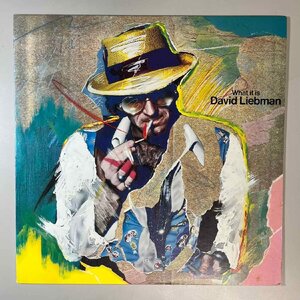 41627★美盤【日本盤】 David Liebman / What It Is