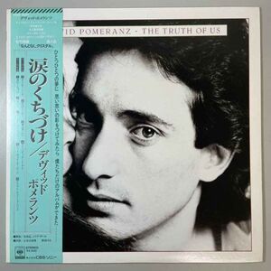 32646【プロモ盤★盤未使用に近い】【日本盤】 David Pomeranz / The Truth Of Us ※帯付き