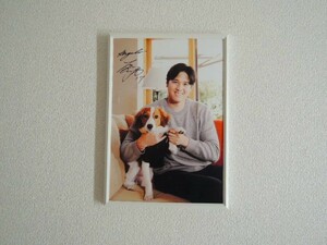 大谷翔平 ペット 犬 ポスター 写真 A4 フォトフレーム 額縁 サインフォト 23×32cm 【送料無料】