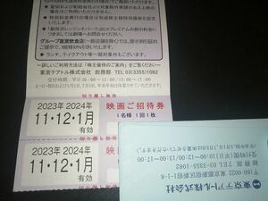 東京テアトル 株主優待 映画招待券2枚 ＋ 提示割引証 有効期限2024年1月31日まで 男性名義（送料63円～）