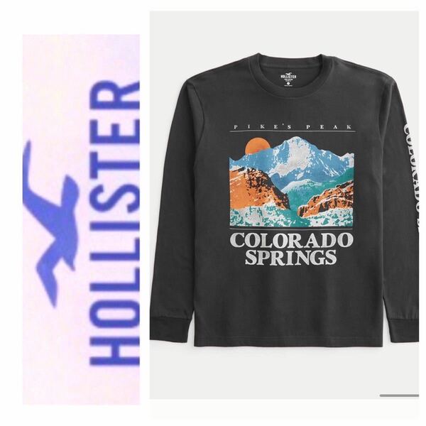 ☆送料無料★◎M◎新品正規品◎ホリスター◎HOLLISTER◎ロングTシャツ◎送料込◎