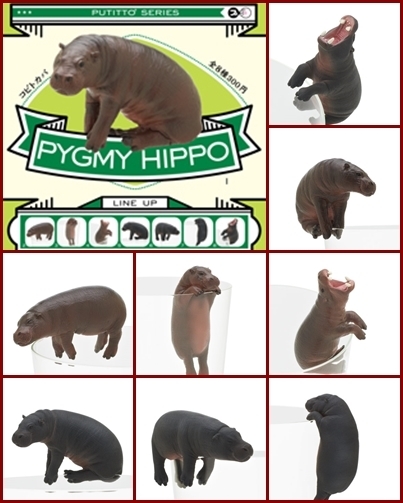 即決 新品未開封 PUTITTO コビトカバ 全8種セット PYGMY HIPPO キタンクラブ コップのフチ子 動物シリーズ 世界三大珍獣 送料無料