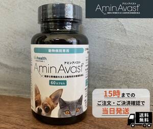 アミンアバスト　猫・小型犬用規格（300mg）60カプセル〈犬猫用〉