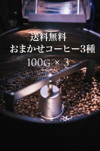 コーヒー豆 おまかせ3種 ×100g スペシャルティコーヒー