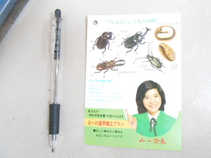 昭和レトロ　非売品　山一証券　桜田淳子　夏休み　ラジオ体操カード　未使用　アイドル　昆虫　印刷物　ビンテージ　店舗飾り　雑貨　